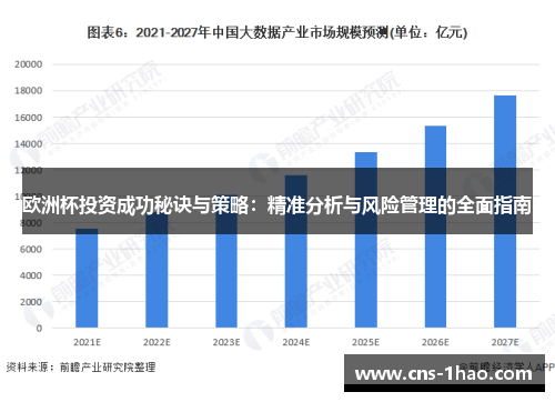 欧洲杯投资成功秘诀与策略:精准分析与风险管理的全面指南 欧洲杯投资成功秘诀与策略:精准分析与风险管理的全面指南