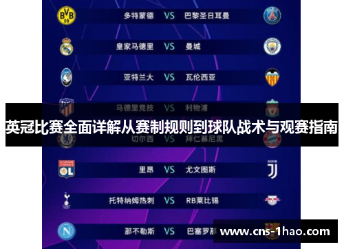 英冠比赛全面详解从赛制规则到球队战术与观赛指南