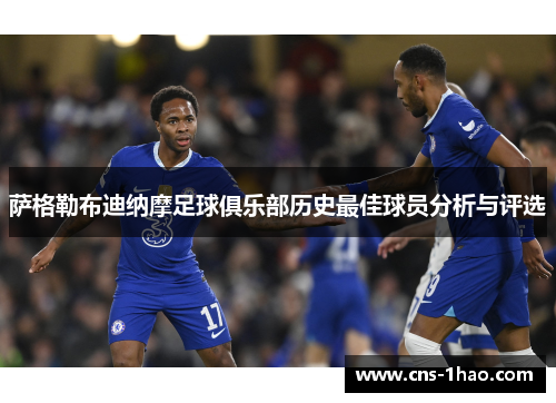 萨格勒布迪纳摩足球俱乐部历史最佳球员分析与评选 萨格勒布迪纳摩足球俱乐部历史最佳球员分析与评选