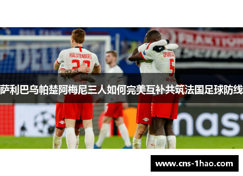 萨利巴乌帕楚阿梅尼三人如何完美互补共筑法国足球防线 萨利巴乌帕楚阿梅尼三人如何完美互补共筑法国足球防线