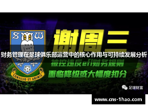 财务管理在足球俱乐部运营中的核心作用与可持续发展分析 财务管理在足球俱乐部运营中的核心作用与可持续发展分析